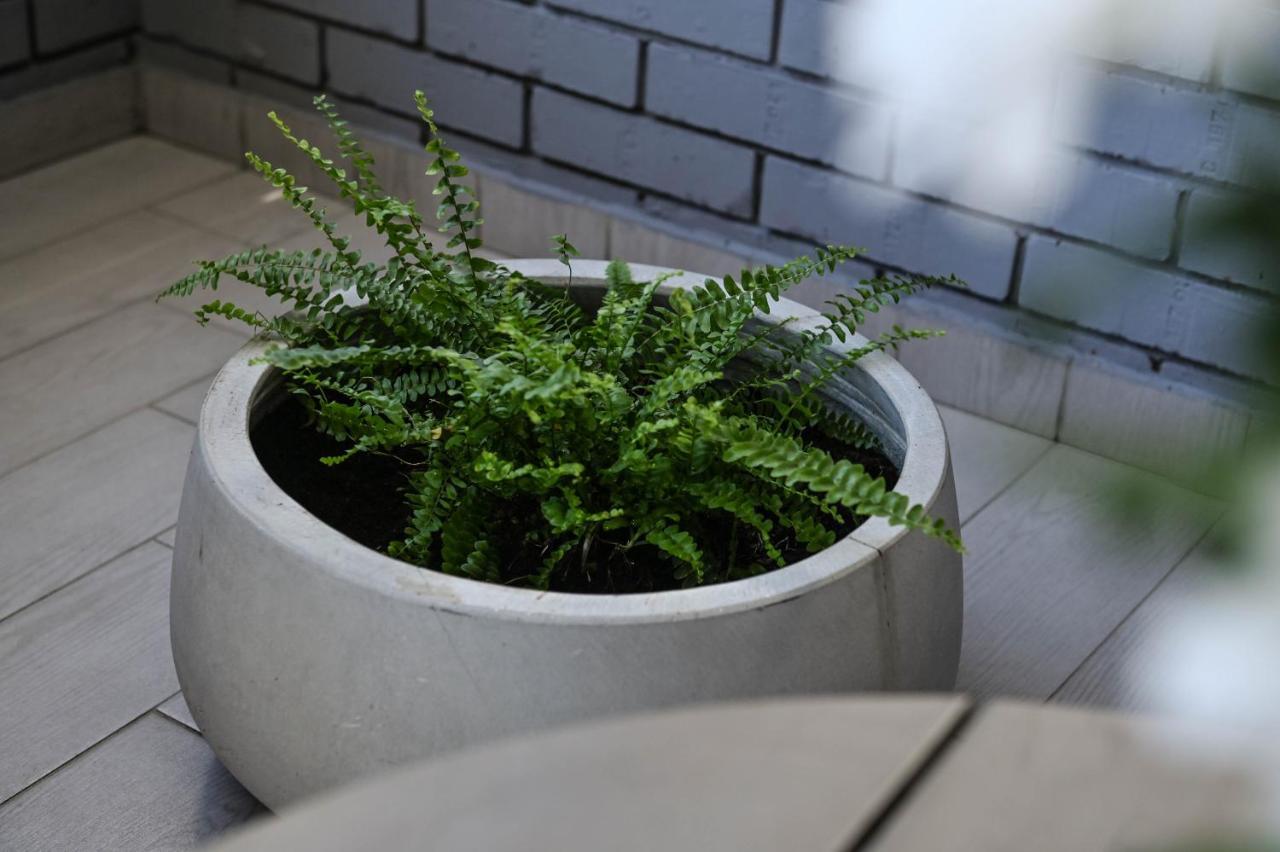 Cozy Apartment Novi Sad Ngoại thất bức ảnh