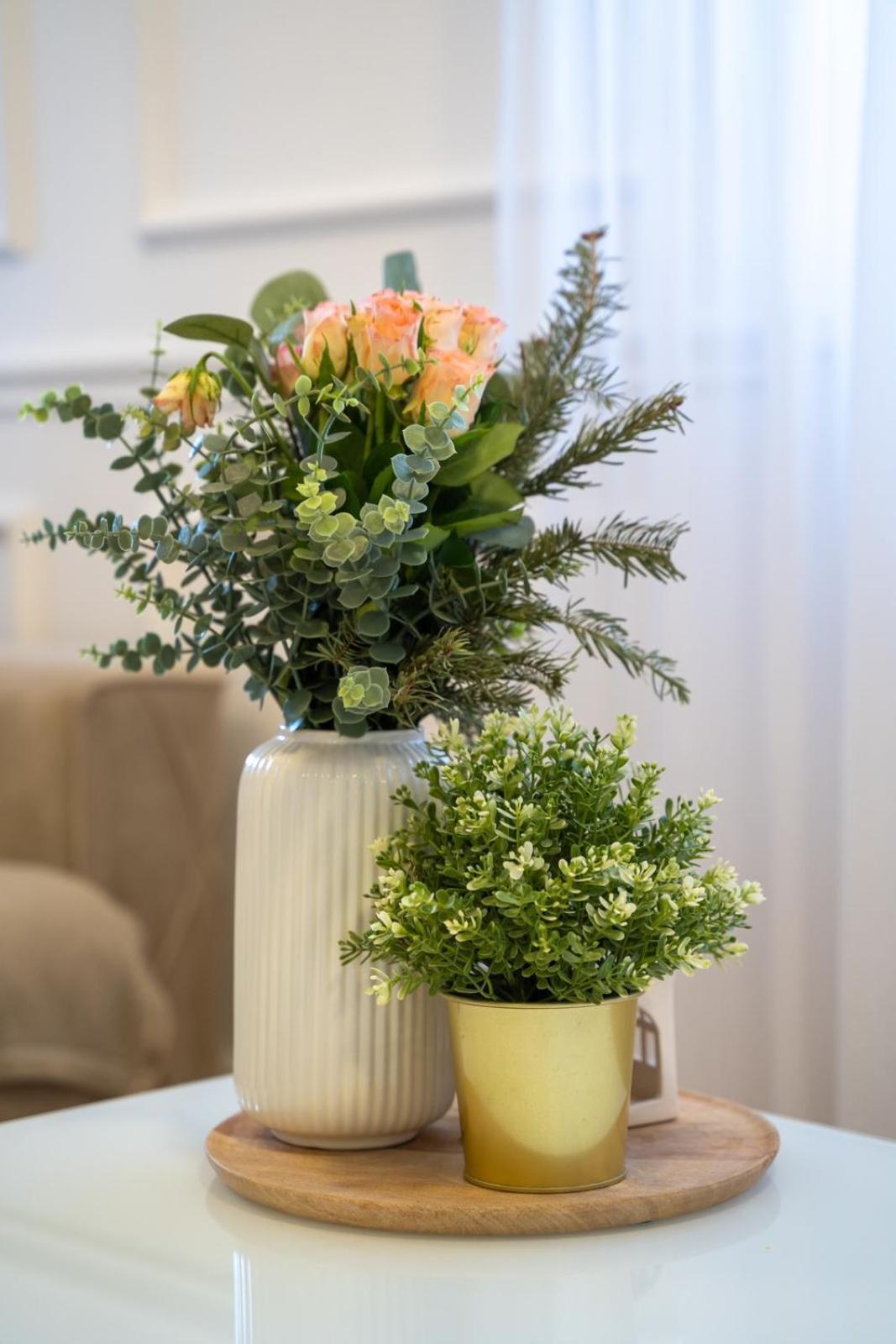 Cozy Apartment Novi Sad Ngoại thất bức ảnh